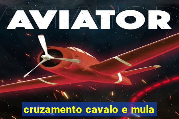 cruzamento cavalo e mula